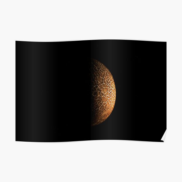 Schroom Moon Poster