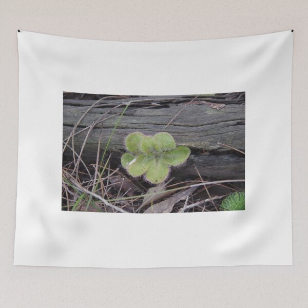 Item preview, Serpentine Drosera designed and sold by lezvee.