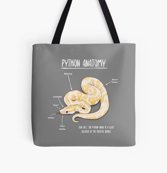 Item preview, Albino Python anatomy designed and sold by AnimalArtist.