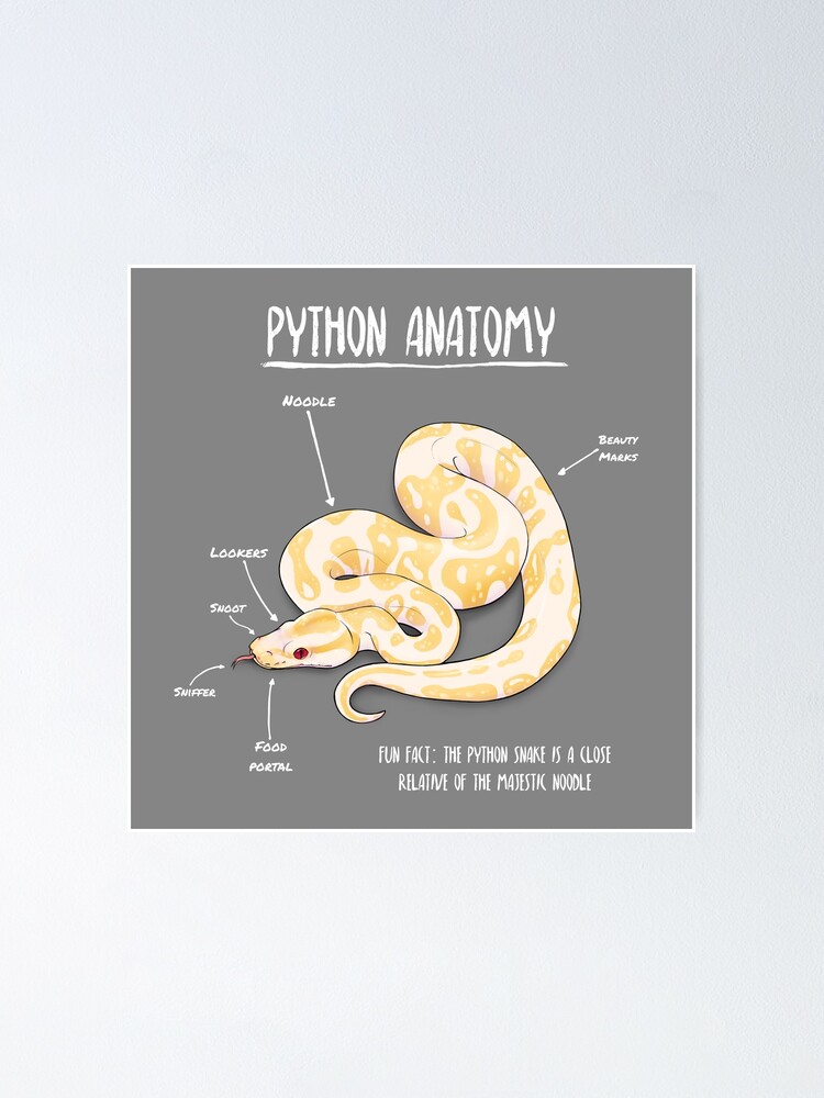 Albino Python Anatomy Poster For Sale By Animalartist Redbubble