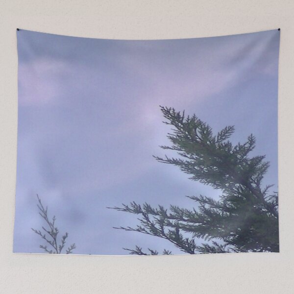 Item preview, Conifer against the Evening Sky. designed and sold by MindTravel.