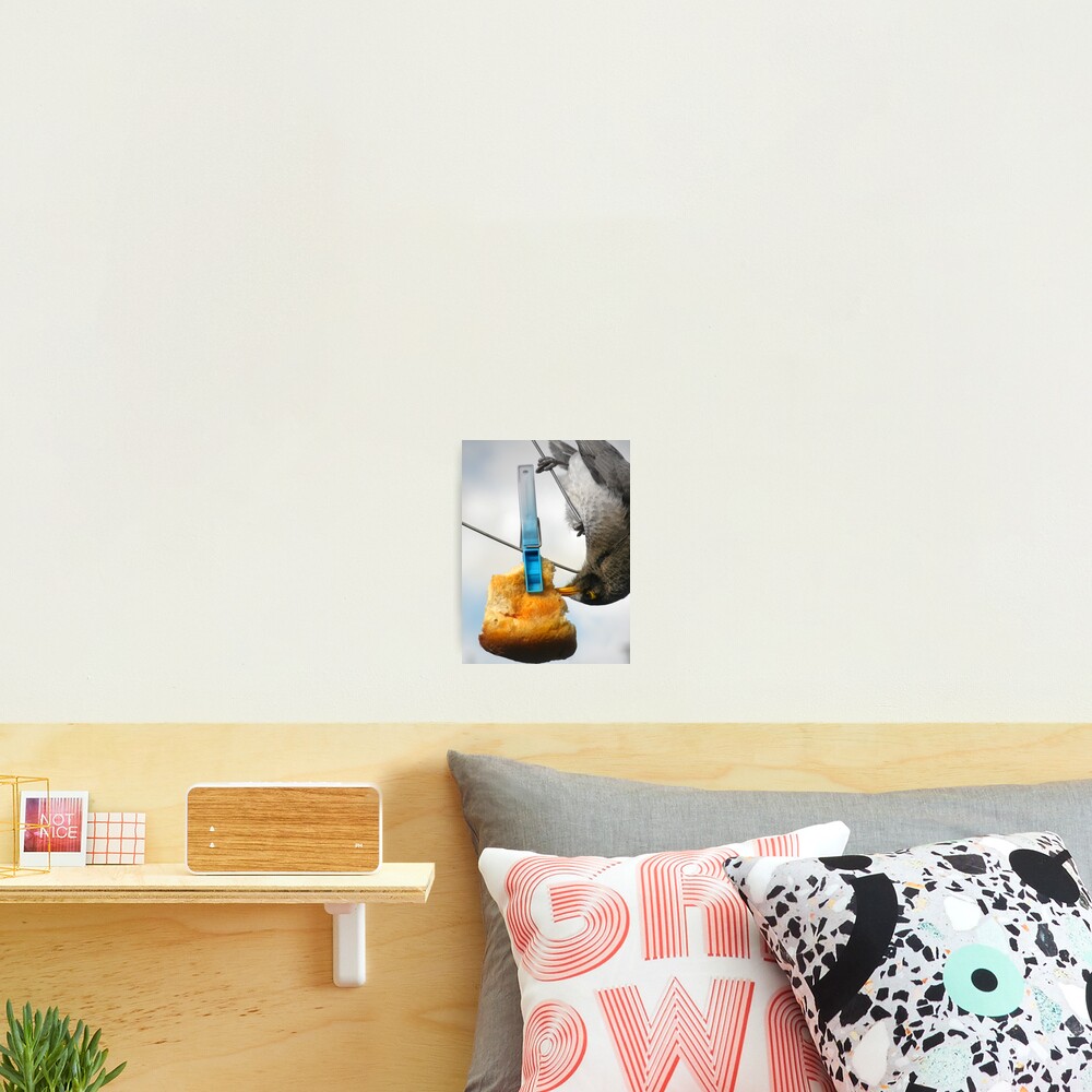 Item preview, Photographic Print designed and sold by Bot2.