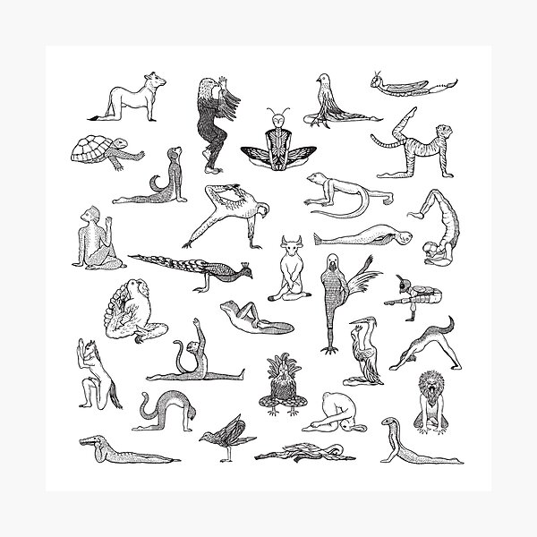 Item preview, 31 Yoga Animals - by Shamanthi designed and sold by Shamanthi Rajasingham.
