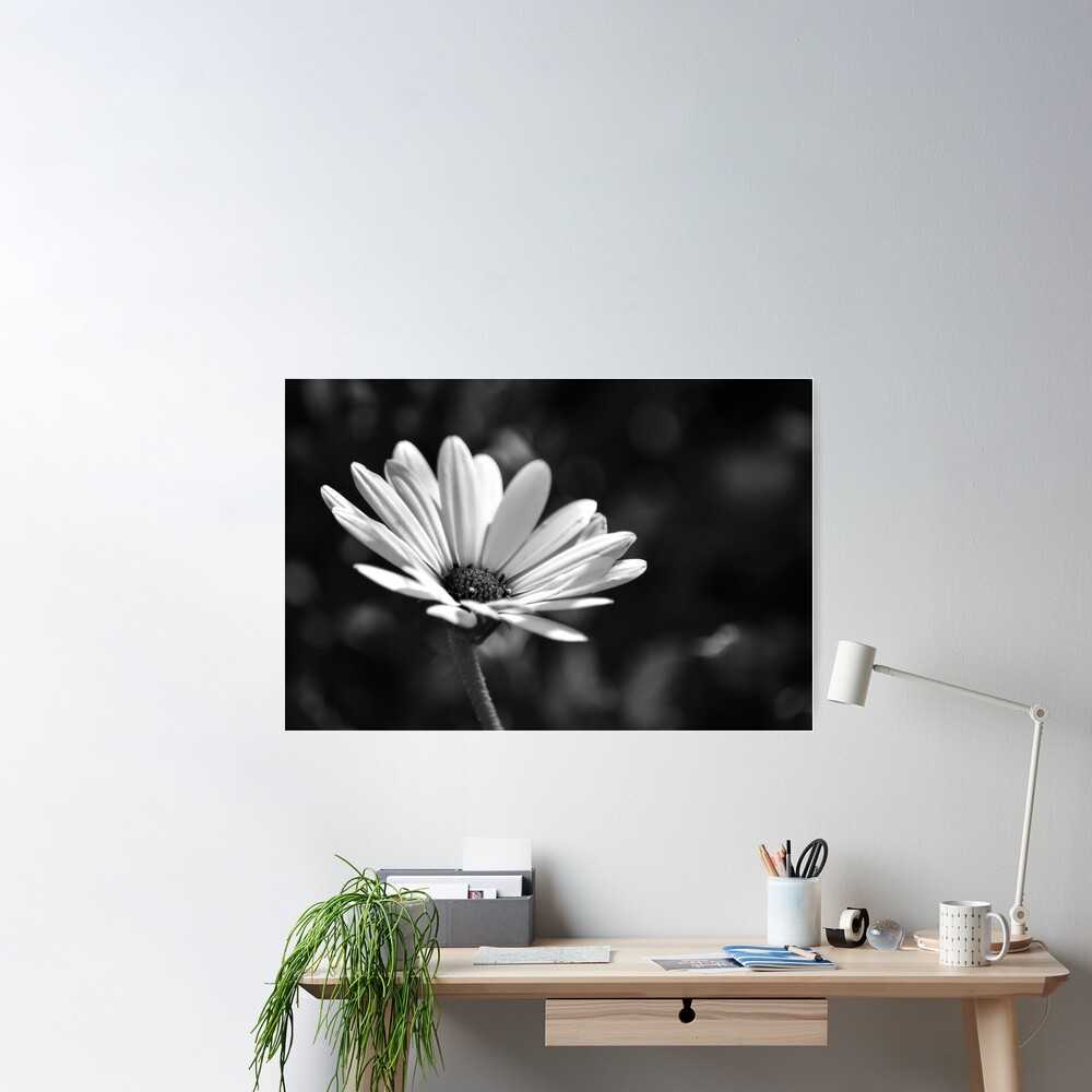 Daisy Honeycomb Wall Decorations