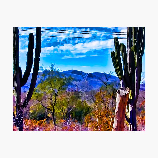 Desertscape #2 Photographic Print