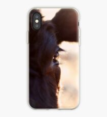 Cows have the most beautiful eyes iPhone Case
