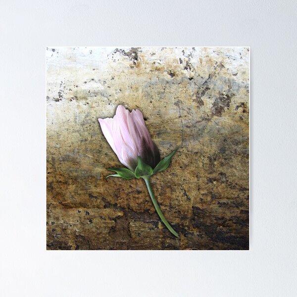Item preview, Discarded designed and sold by jacqi.