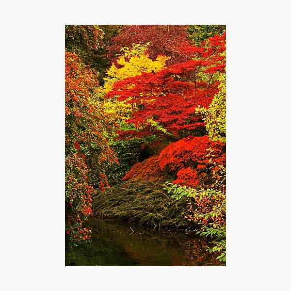 Autumn's coming Photographic Print