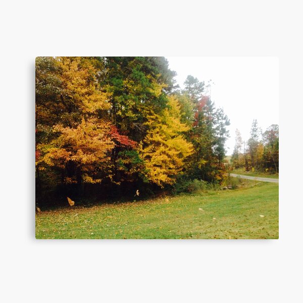 Autumn Canvas Print