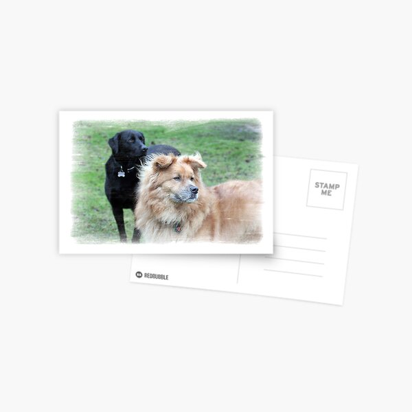 THE WOMAN BEHIND HER MAN Postcard