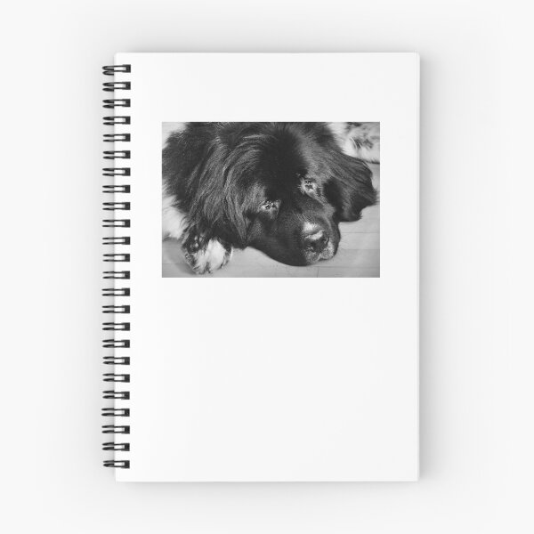 Item preview, Newfoundland dog designed and sold by Laurie Minor.