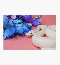 Lucy in Pink Photographic Print