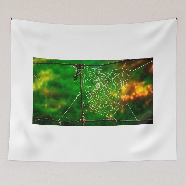 Item preview, Fenceline Spiders'Web designed and sold by colorfulbundles.