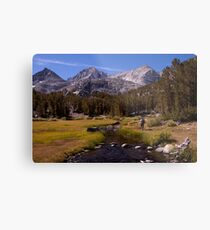 Little Lakes Valley Hiker, Sierras, CA Metal Print