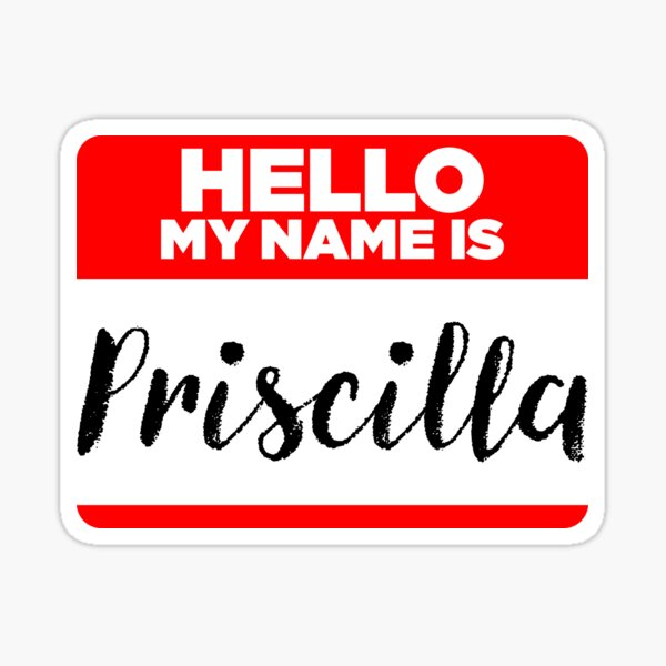 My Name Is... Priscilla - Introduction Hipster Sticker Tag My Name Is... Priscilla - Introduction Hipster Sticker Tag