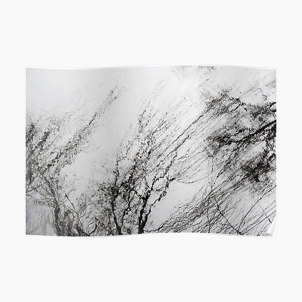 Winter Trees Reflections Poster