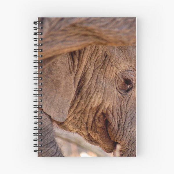 Artikelvorschau, LEBEN, LIEBEN, TRAUM UND LEIDENSCHAFT - DER AFRIKANISCHE ELEFANT - Loxodonta africana entworfen und verkauft von Magriet Meintjes.