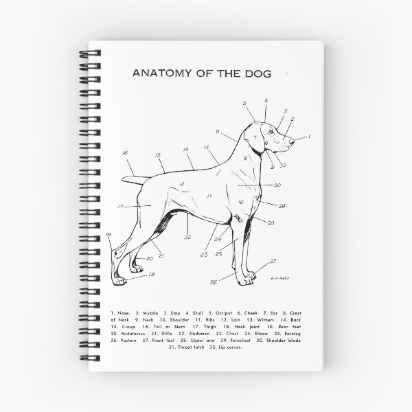 Item preview, Anatomy of the Dog designed and sold by Talierch.