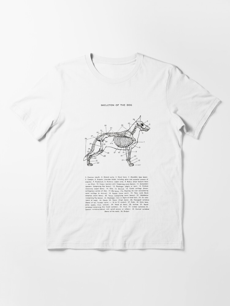 dog skeleton shirt