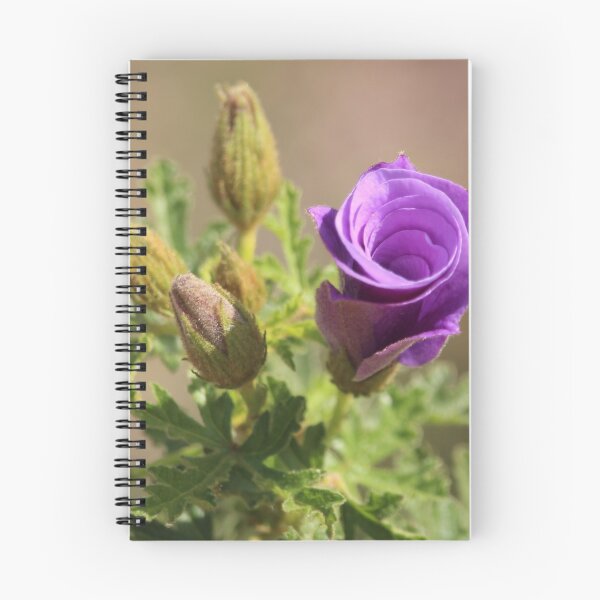 Artikelvorschau, Native Hibiscus - Alyogyne Hügelii entworfen und verkauft von NanaRusty.