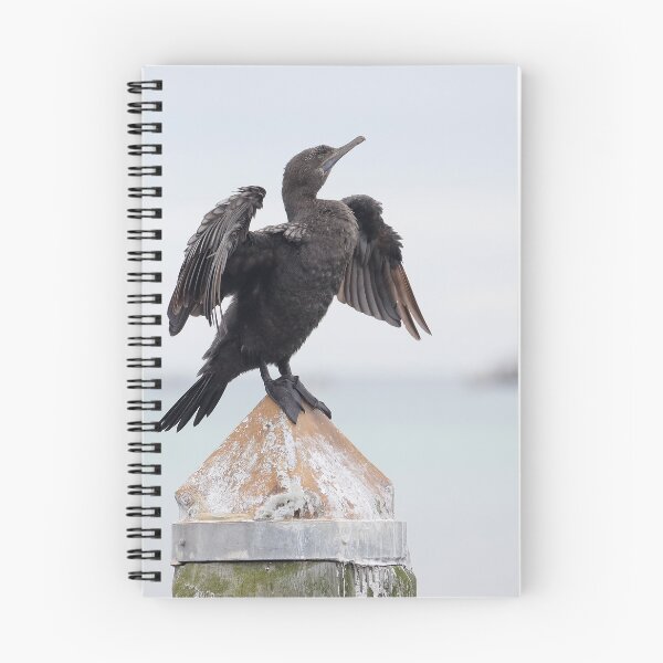 Item preview, Australian darter bird 958 designed and sold by kevin Chippindall.