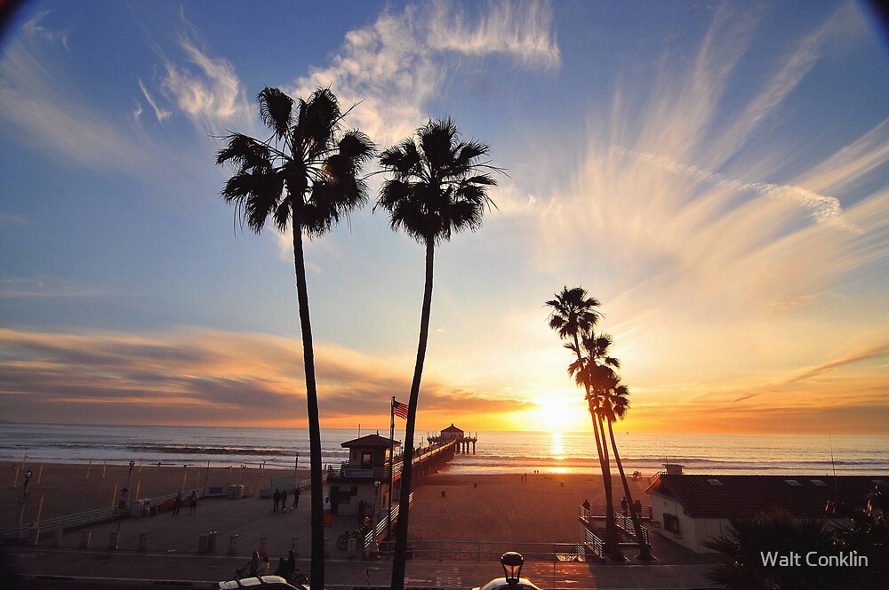 "Manhattan Beach Palm Trees " by Walt Conklin Redbubble