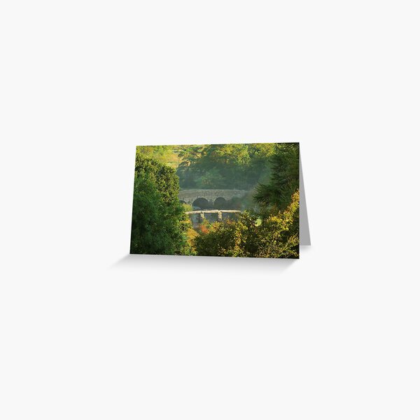 NEW AND OLD Greeting Card