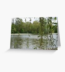 Through the willow Greeting Card