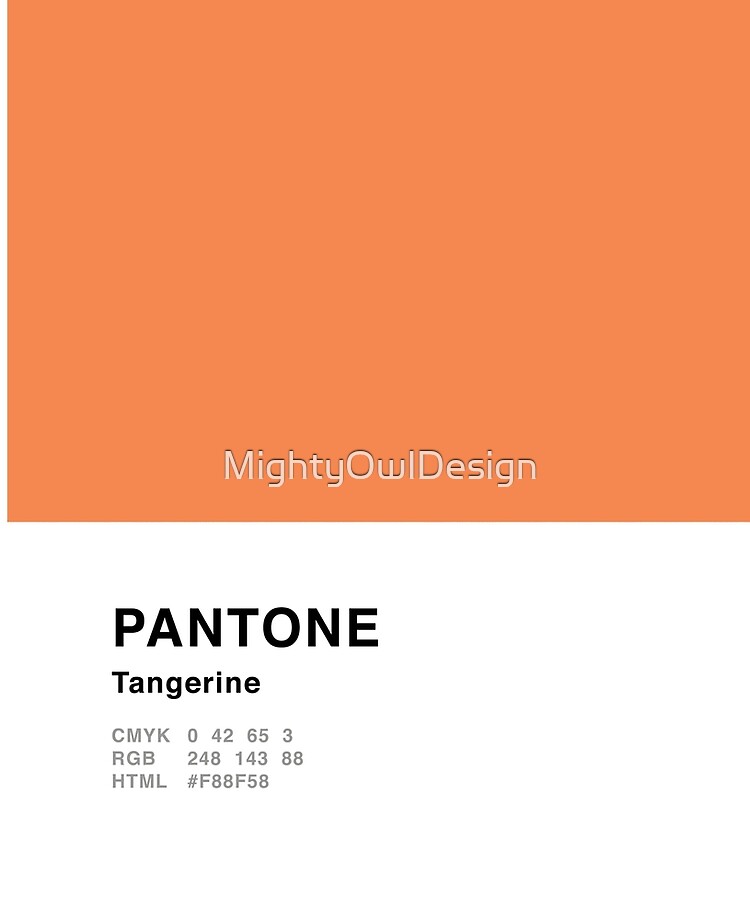 Tangerine Orange Pantone Simple Design | iPad Case & Skin