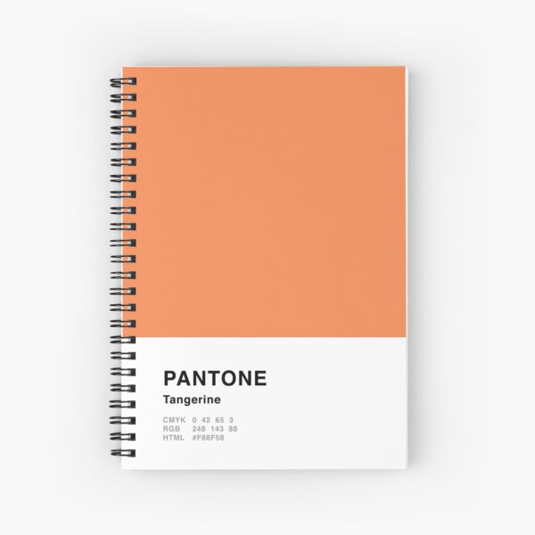 Tangerine Orange Pantone Simple Design iPad Case & Skin for Sale