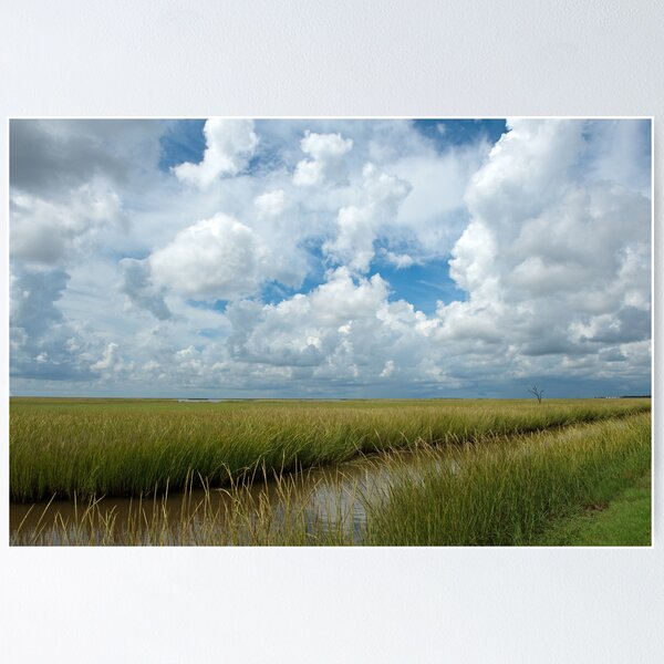 Item preview, Cloudy Skies over the  Marsh designed and sold by Bonnie T.  Barry.