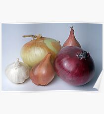 A Family Allium Poster