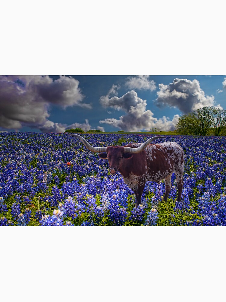 Thumbnail 7 of 7, Classic T-Shirt, Texas Longhorn in a Field of Bluebonnets designed and sold by Warren Paul Harris.