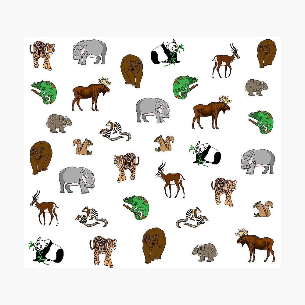 Wild Animals Wild Animals