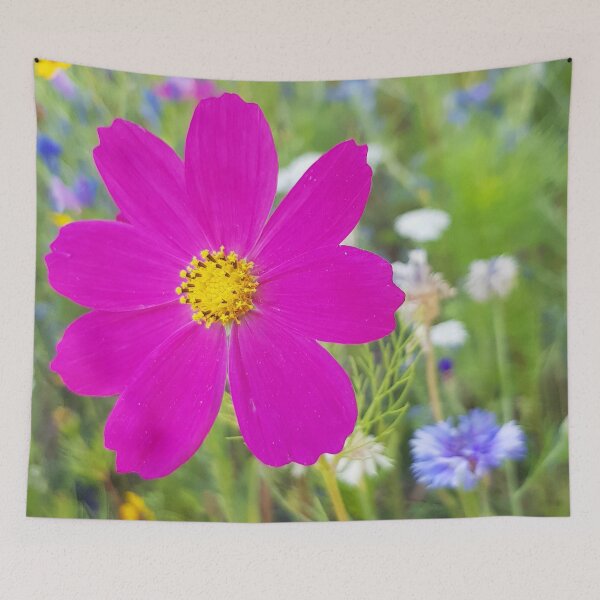 Item preview, Flowers Go Wild in Wimbledon 5 - Cosmos the bold designed and sold by ellenhenry.