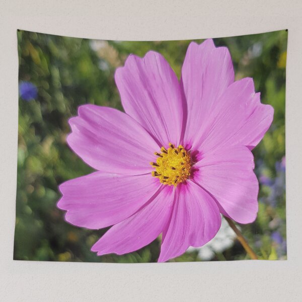 Item preview, Flowers Go Wild in Wimbledon 7 - Pink Cosmos greets the sun designed and sold by ellenhenry.