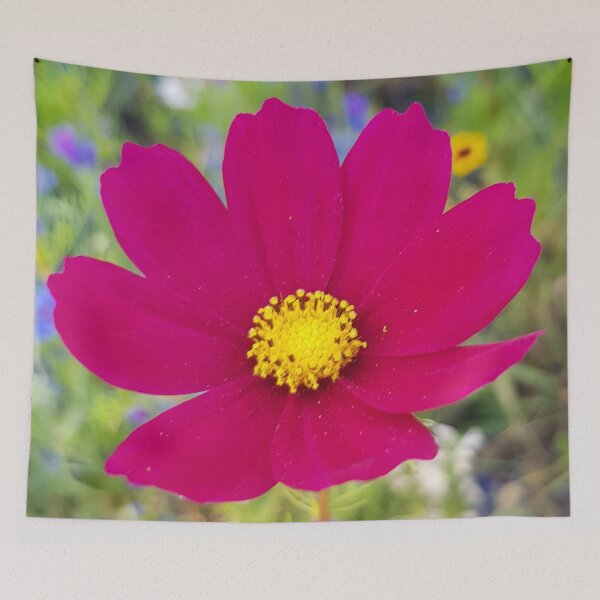 Item preview, Flowers Go Wild in Wimbledon 6 - Cosmos in the field designed and sold by ellenhenry.