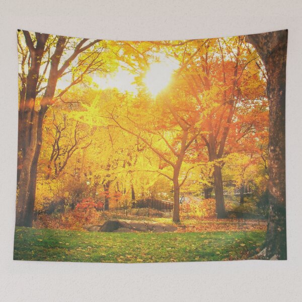 Item preview, Autumn - Central Park - Sunset - New York City designed and sold by Vivienne Gucwa.