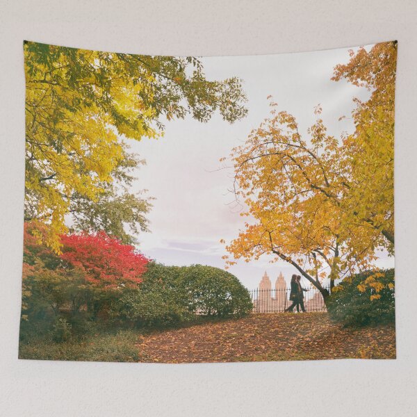 Aperçu de l'œuvre Autumn in Central Park - New York City créée et vendue par Vivienne Gucwa.