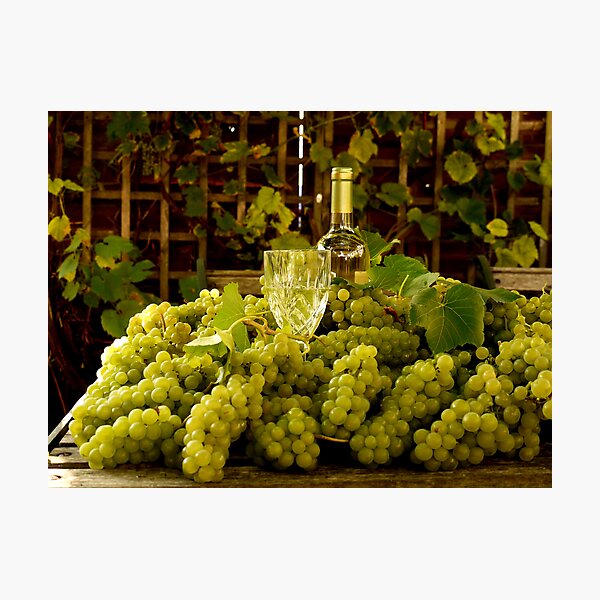 Item preview, Grape Harvest designed and sold by mikebov.