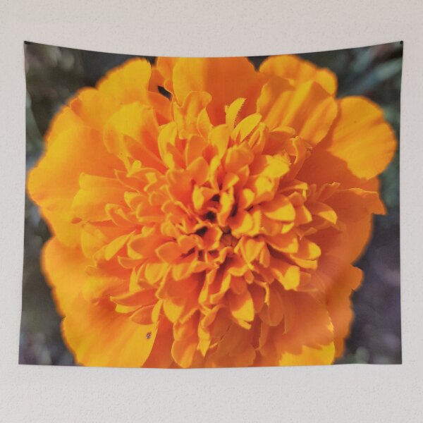 Item preview, Floral Fun - Holland Gardens Marigold designed and sold by ellenhenry.