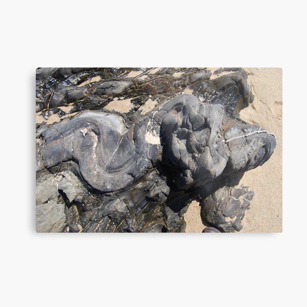 Snake man lithified Metal Print