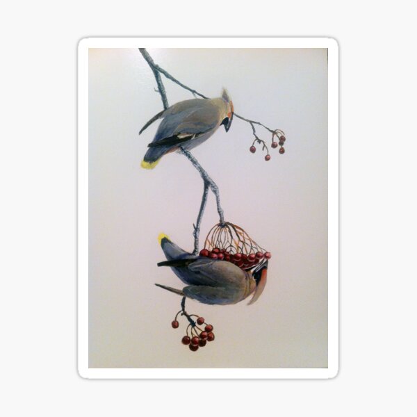 Cedar Waxwings - Pendular Balance Sticker