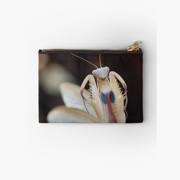 Item preview, "ELEGANCE" IN CAPTURE - The praying mantis designed and sold by Magriet Meintjes.