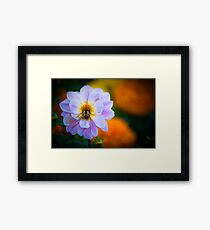 Bumble Framed Print