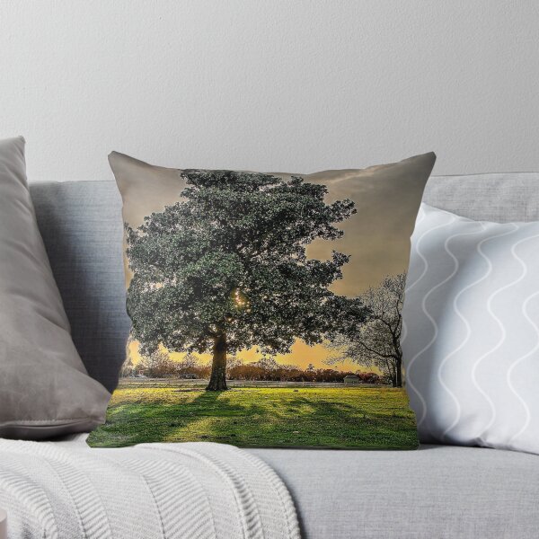Item preview, Let the Sun Shine Through designed and sold by dwillzcameraman.