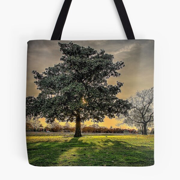 Item preview, Let the Sun Shine Through designed and sold by dwillzcameraman.