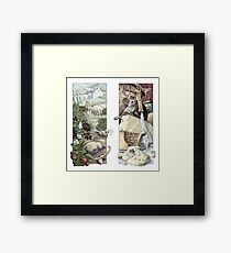 The Country Mouse and the City Mouse Framed Print
