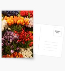 Tulips Postcards