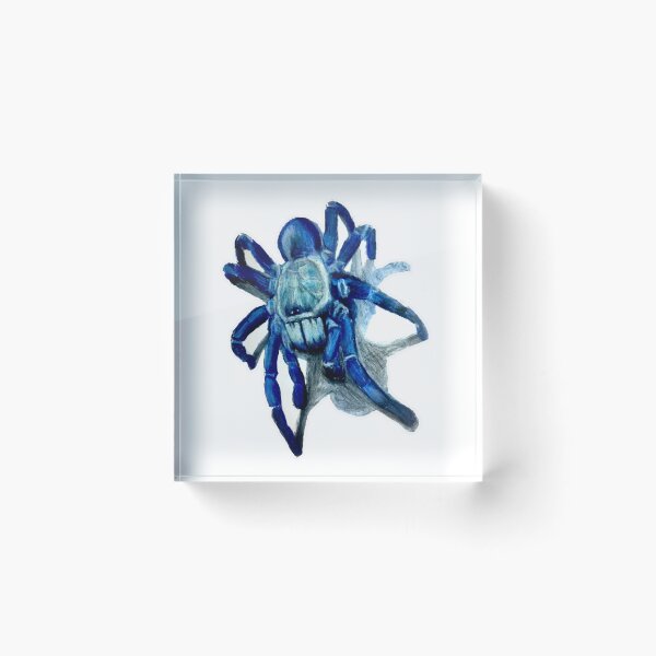 Item preview, Male Cobalt Blue Tarantula designed and sold by brandydevoid.